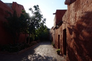 DSC06616    
